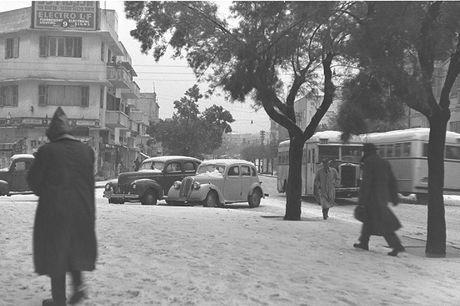 תל אביב בשלג, 1950